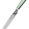 Sabre Natura Tafelmes 24 Cm Rvs Kunststof Groen -Keukenseries Winkel 3682 1790197 1