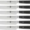 Zwilling Steakmessenset By Matteo Thun 6-delig -Keukenseries Winkel 4239029 001 6 delige set
