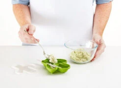 Lekue Lékué Fun & Sun Ijsvorm Cactus Silicone Groen 4 Stuks 14 Lekue Lékué Fun & Sun Ijsvorm Cactus Silicone Groen 4 Stuks -Keukenseries Winkel cactus helado 04 2