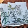 Oldenhof Herbs Servet 45 X 45 Cm Linnen 6 Stuks -Keukenseries Winkel linen napkins spice herbs floral linoroom 6